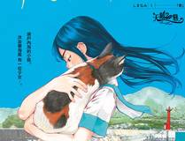 19天海报